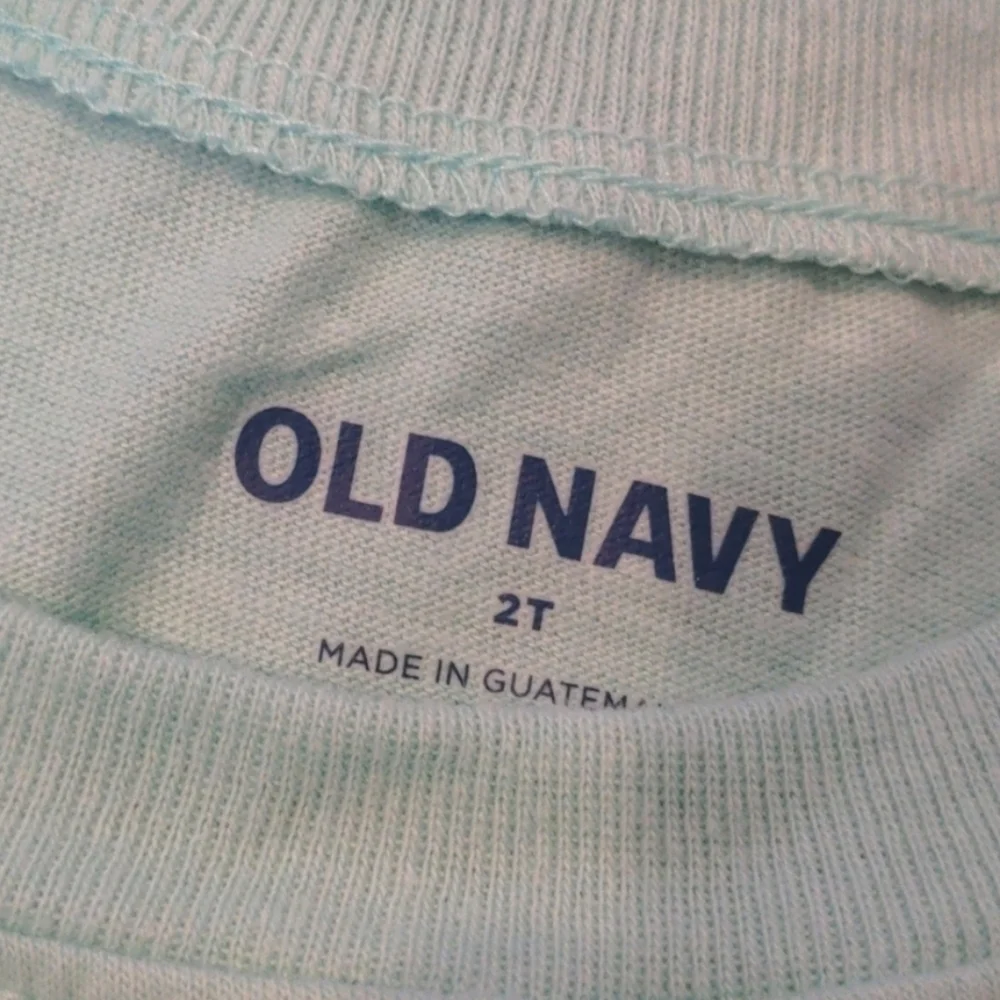 Old Navy Mint Green Wild Graphic Tee size 2T